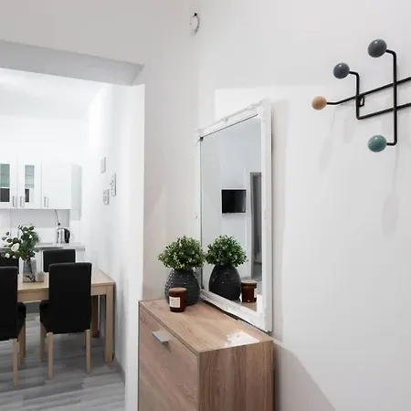 Charming Spacious In Apartment Prag